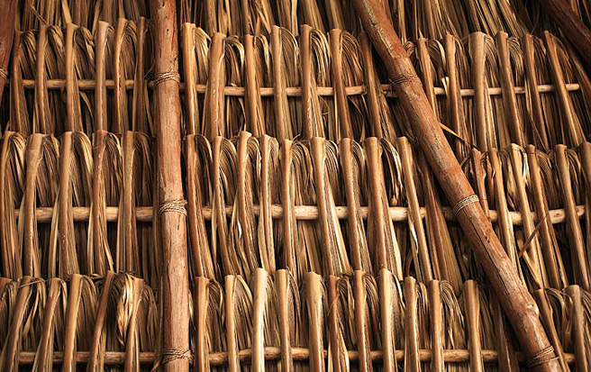 George Menda Detail of Palapa 
